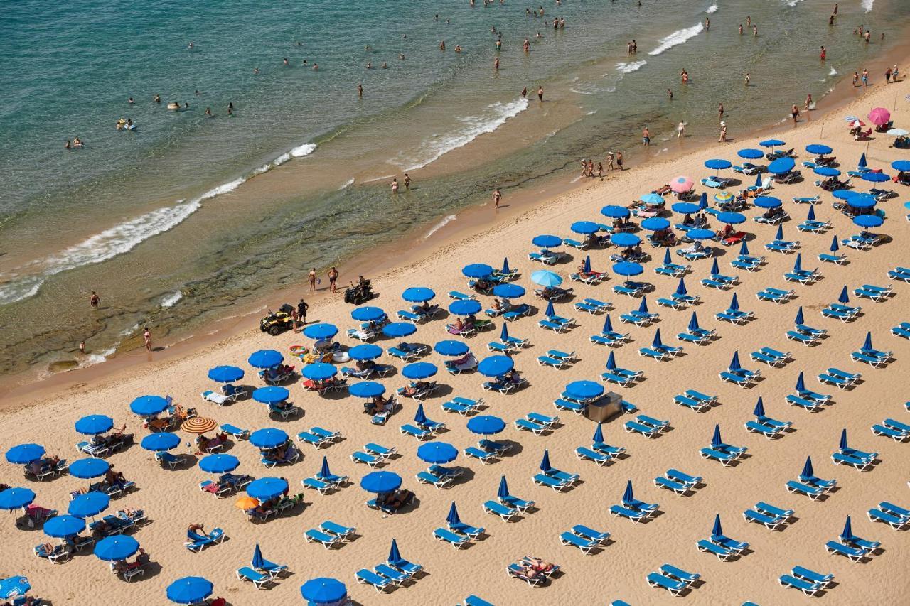 Las Palmeras 15A Appartement Benidorm Buitenkant foto