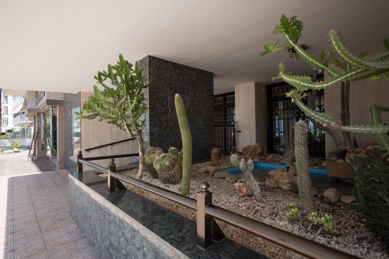 Las Palmeras 15A Appartement Benidorm Buitenkant foto